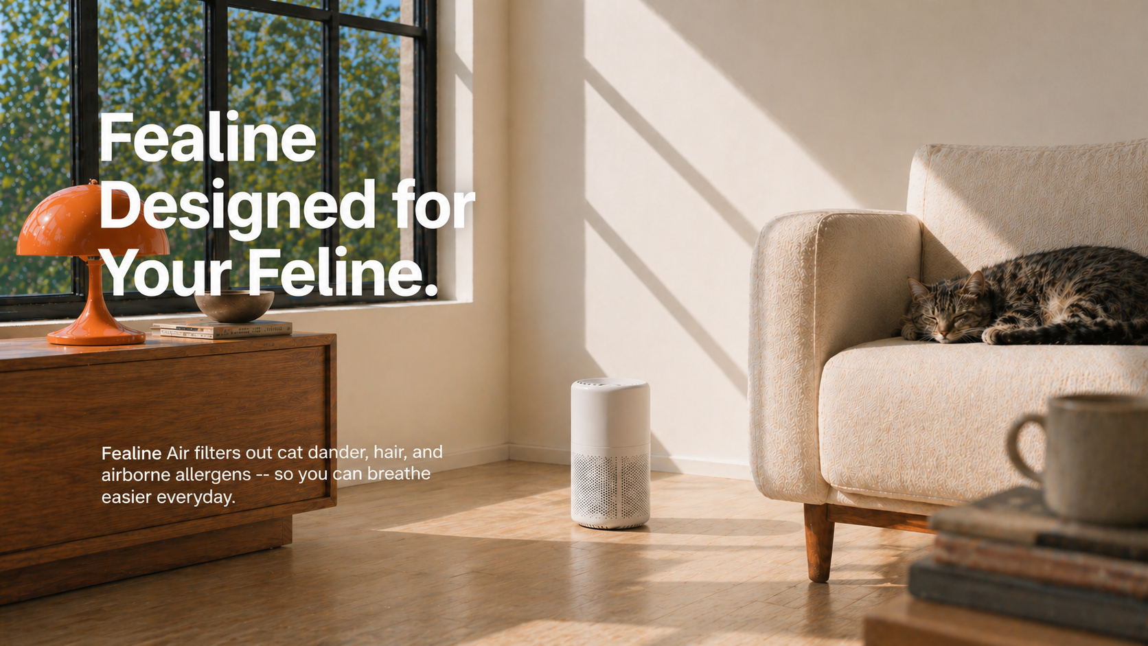 Fealine Air purifier — slide 1