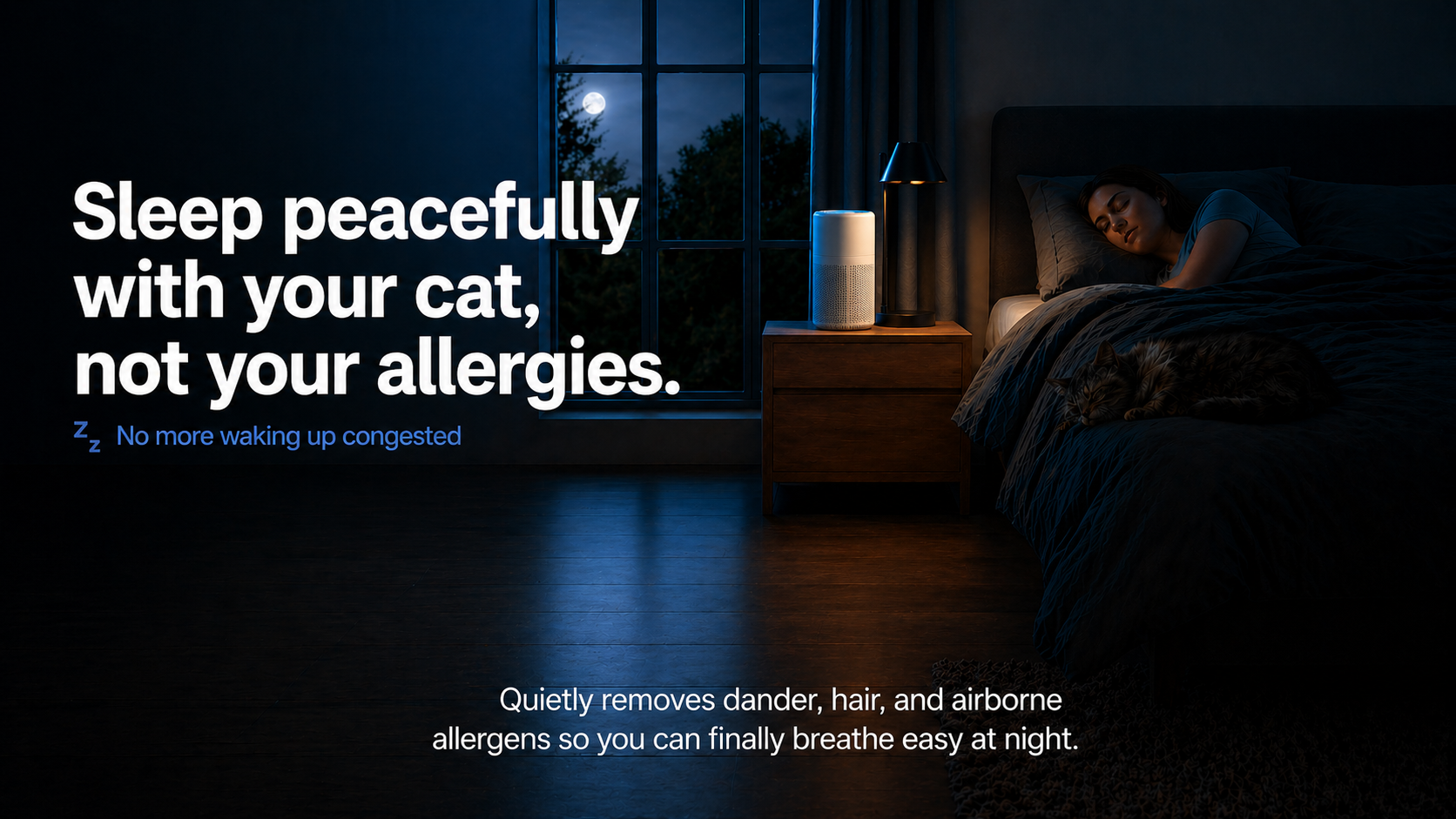 Fealine Air purifier — slide 2