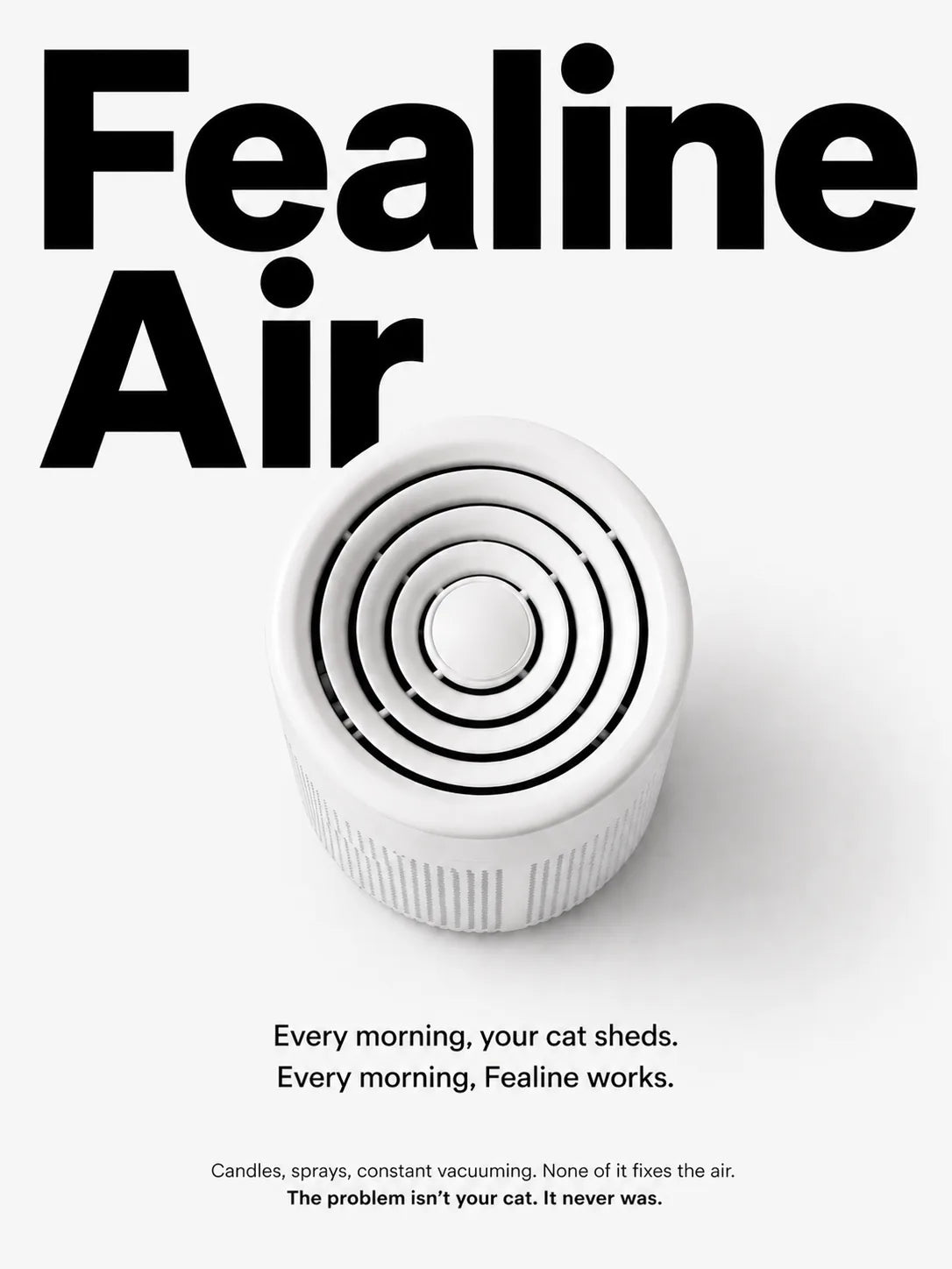 Fealine Air in a clean home
